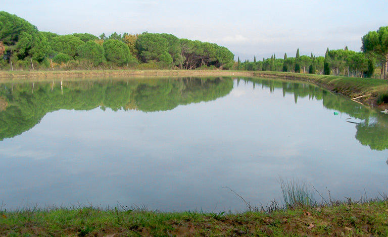 Agriturismo Lanterna Rossa 拉戈堡 外观 照片